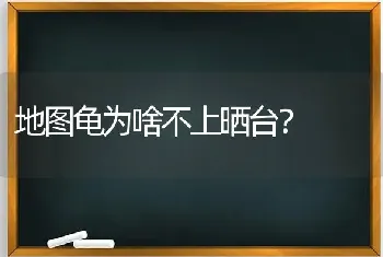 地图龟为啥不上晒台？