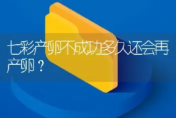 七彩产卵不成功多久还会再产卵？