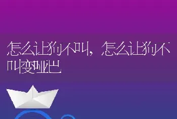 怎么让狗不叫，怎么让狗不叫变哑巴