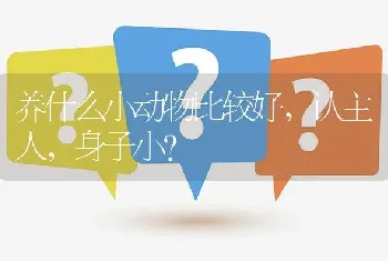 养什么小动物比较好，认主人，身子小？