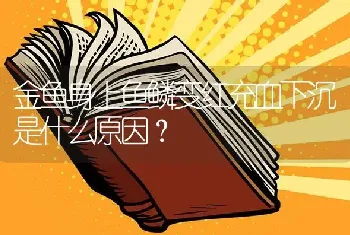 金鱼身上鱼鳞变红充血下沉是什么原因？