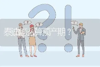 泰迪怎么算预产期？