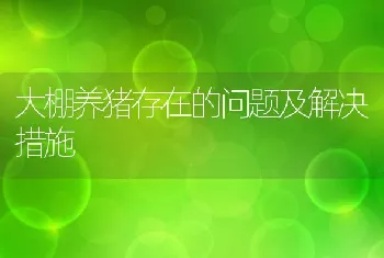 大棚养猪存在的问题及解决措施