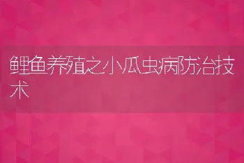 鲤鱼养殖之小瓜虫病防治技术