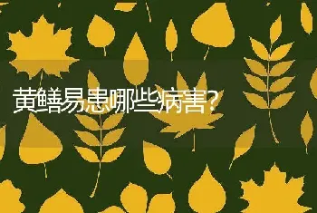 黄鳝易患哪些病害？