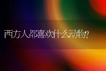 西方人都喜欢什么动物？