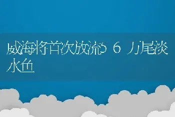 威海将首次放流56万尾淡水鱼