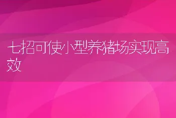 七招可使小型养猪场实现高效