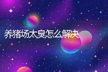 养猪场太臭怎么解决