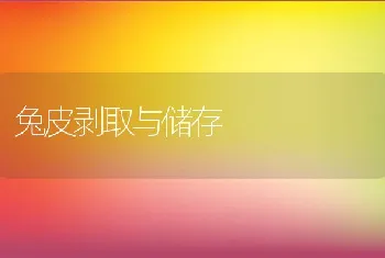 兔皮剥取与储存