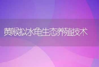 黄喉拟水龟生态养殖技术