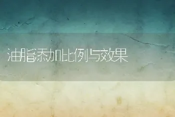 油脂添加比例与效果