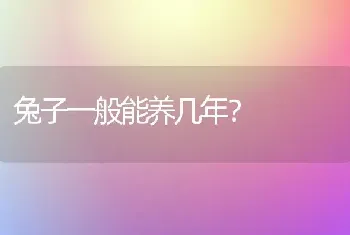 兔子一般能养几年？