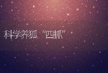 科学养狐“四抓”