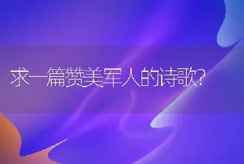 求一篇赞美军人的诗歌？