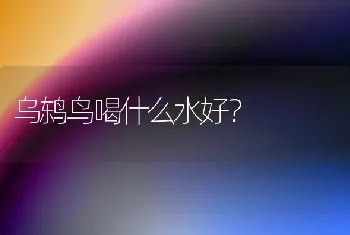 罗威纳和德牧哪个体味大？