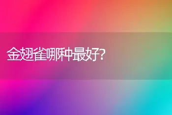 9斤比熊算小吗？