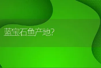 蓝宝石鱼产地？