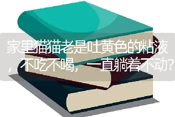 家里猫猫老是吐黄色的粘液，不吃不喝，一直躺着不动？