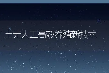 土元人工高效养殖新技术