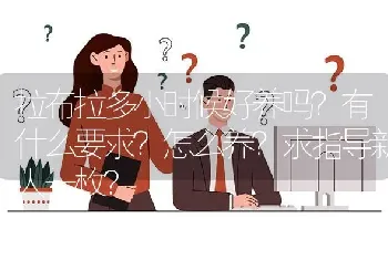 拉布拉多小时候好养吗？有什么要求？怎么养？求指导新人一枚？