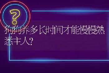 狗狗养多长时间才能慢慢熟悉主人？