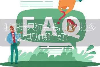 我想养只狗金毛，拉布拉多，阿拉斯加哪个好？