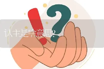 认主是啥意思？