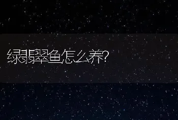 绿翡翠鱼怎么养？