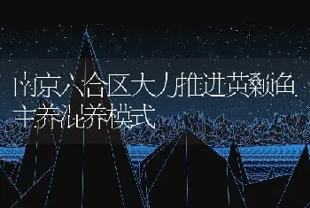 南京六合区大力推进黄颡鱼主养混养模式