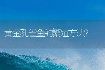 黄金孔雀鱼的繁殖方法？