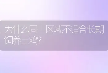 为什么同一区域不适合长期饲养土鸡？