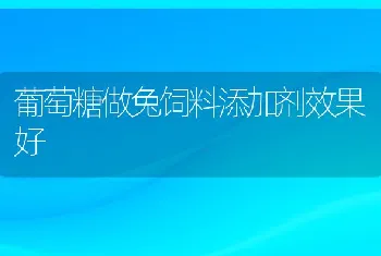 葡萄糖做兔饲料添加剂效果好