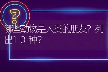 哪些动物是人类的朋友？列出10种？