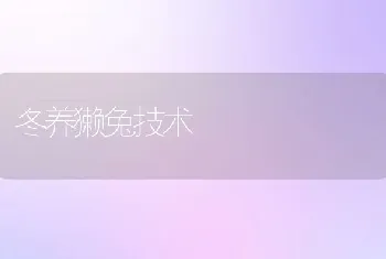 科学的饲养小龙虾