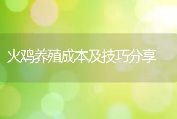 火鸡养殖成本及技巧分享