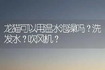 龙猫可以用温水泡澡吗？洗发水？吹风机？