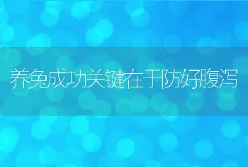 养兔成功关键在于防好腹泻