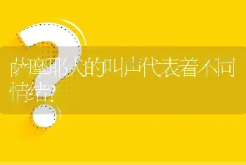 萨摩耶犬的叫声代表着不同情绪？