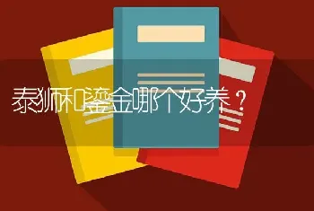 泰狮和鎏金哪个好养？