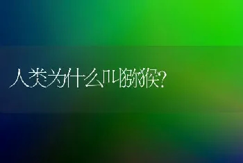 人类为什么叫猕猴？