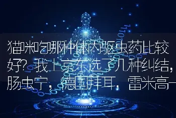 比特什么时候开始换牙？