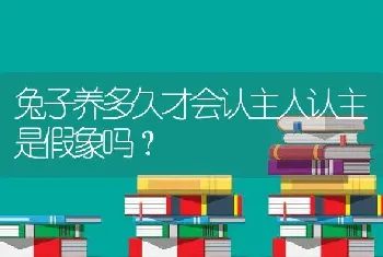 兔子养多久才会认主人认主是假象吗？