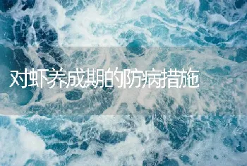 对虾养成期的防病措施