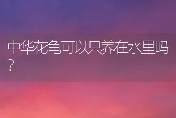 中华花龟可以只养在水里吗？