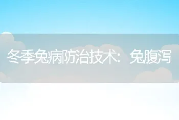 冬季兔病防治技术:兔腹泻