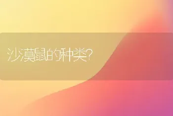 沙漠鼠的种类？