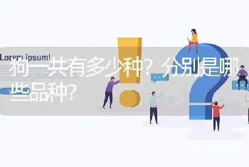 狗一共有多少种？分别是哪些品种？