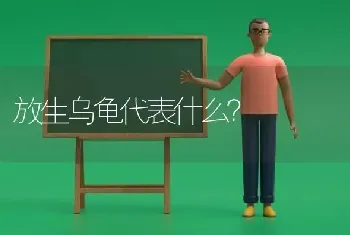 放生乌龟代表什么？