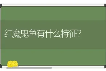 红魔鬼鱼有什么特征？